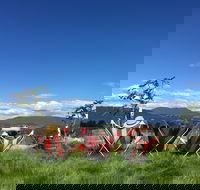 Red Feet Wines - Hotel Accommodation