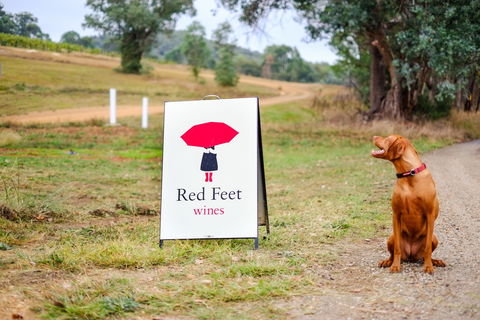 Red Feet Wines - Hotel Accommodation 2