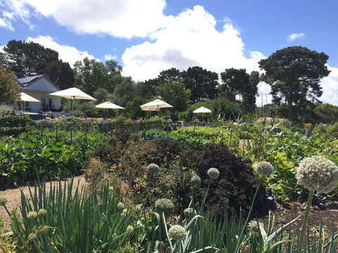 Basils Farm - Hotel Accommodation 2