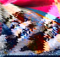 Donut King - Broadmeadows - Hotel Accommodation