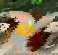 Nic and Kolo - Hotel Accommodation