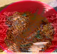 Noodle World - Hotel Accommodation