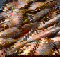 Pacific Eats - Hotel Accommodation