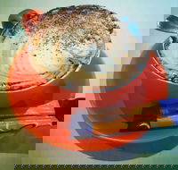 Routleys Bakery - Hotel Accommodation