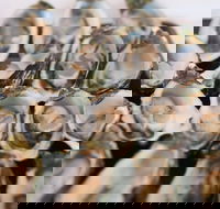 S.D. Caputo And Sons - Hotel Accommodation