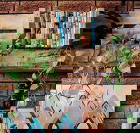 Wilderness Bar - Hotel Accommodation