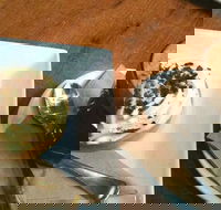 Appleseed cafe - Hotel Accommodation