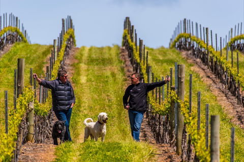Tim Adams Wines - Hotel Accommodation 2