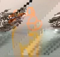 Where Ya Bean - Hotel Accommodation