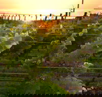 Bennetts on Bellarine Winery - Hotel Accommodation