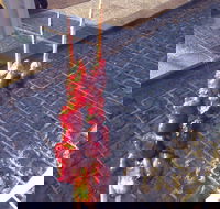 Harvest Coffee - Hotel Accommodation