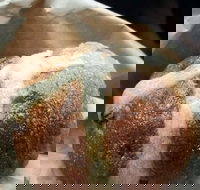 Kneaded Sourdough German Bakery - Hotel Accommodation