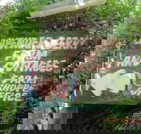 Lavender and Berry Farm Cafe - Hotel Accommodation