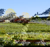 djinta djinta Winery - Hotel Accommodation