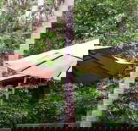 Rainforest Cafe - Hotel Accommodation