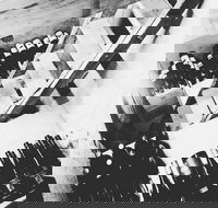 The Cordial Bar - Hotel Accommodation