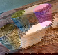 Charlie and Leo's - Hotel Accommodation