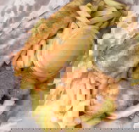 JFC - Hotel Accommodation