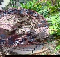 Kimnat Little Market and Cafe - Hotel Accommodation