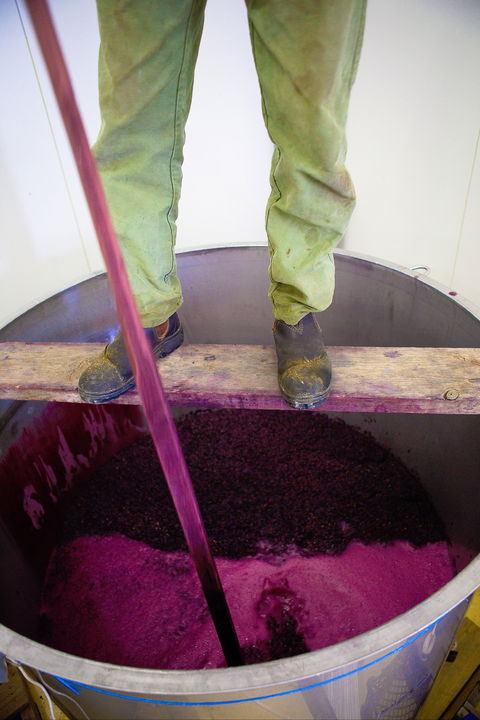 Mount Majura Vineyard - Hotel Accommodation 2