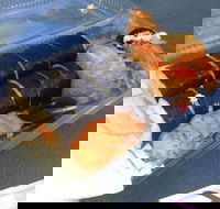 Mr Sushi - Hotel Accommodation