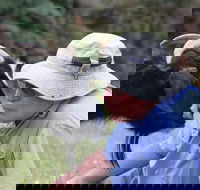 Providence Vineyards - Hotel Accommodation