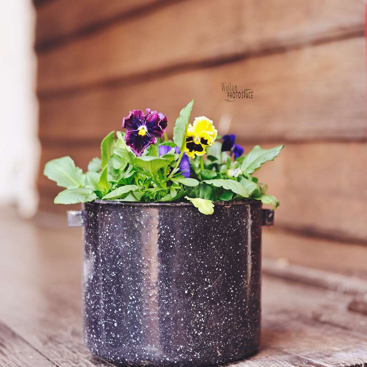 Gilgering WA Hotel Accommodation