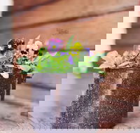 The York Mill - Hotel Accommodation