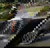 41 Degrees South Tasmania - Hotel Accommodation