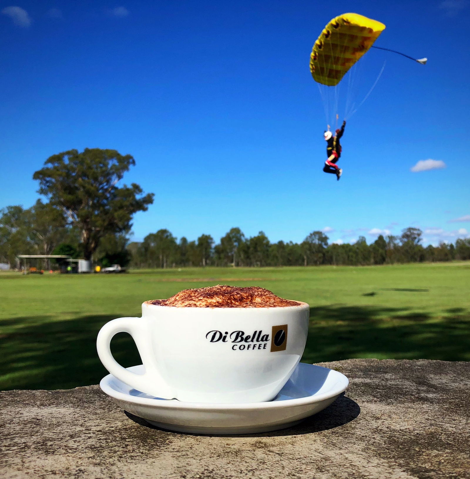 Ottaba QLD Hotel Accommodation