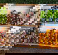 Melonhead - Hotel Accommodation