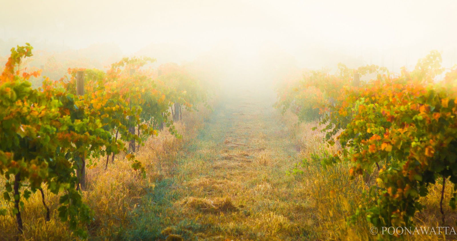 Flaxman Valley SA Hotel Accommodation