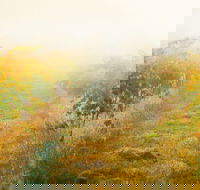 Poonawatta - Hotel Accommodation