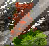 Royal India Restobar - Hotel Accommodation