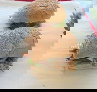 Taylor's Seafood - Hotel Accommodation