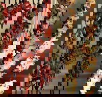 The Spice Yard - Hotel Accommodation