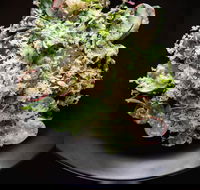 Arthur Waterhouse Lounge - Hotel Accommodation