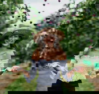 Cherryhill Orchards - Hotel Accommodation