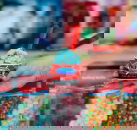 Cold Rock Ice Creamery - Calamvale - Hotel Accommodation