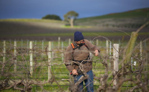 Kurtz Family Vineyards - Hotel Accommodation 0