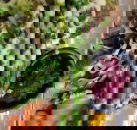 Stone cold - Hotel Accommodation