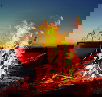 Black Dog Brewery - Hotel Accommodation