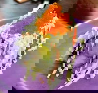 Oishi Ya - Hotel Accommodation