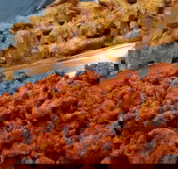 Spice Blast - Hotel Accommodation