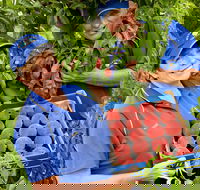 Willayoung Orchard - Hotel Accommodation