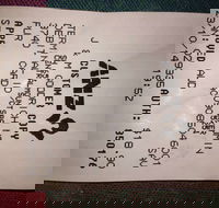 Bubba Pizza - Mount Barker - Hotel Accommodation