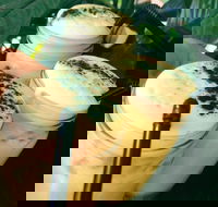 Chillers Cafe - Hotel Accommodation