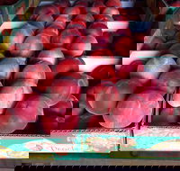 Martins Orchard - Hotel Accommodation