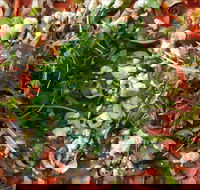 Mount Buninyong Winery - Hotel Accommodation