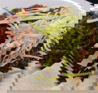 Rising Sun Hotel - Hotel Accommodation